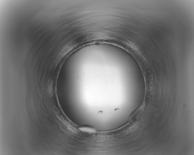 X0000066970873200603311446