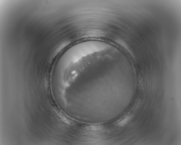 X0000066970874200603311446