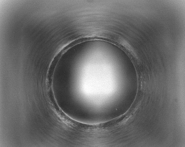 X0000066970876200603311446