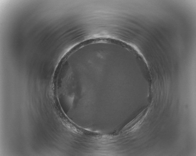 X0000066970879200603311446