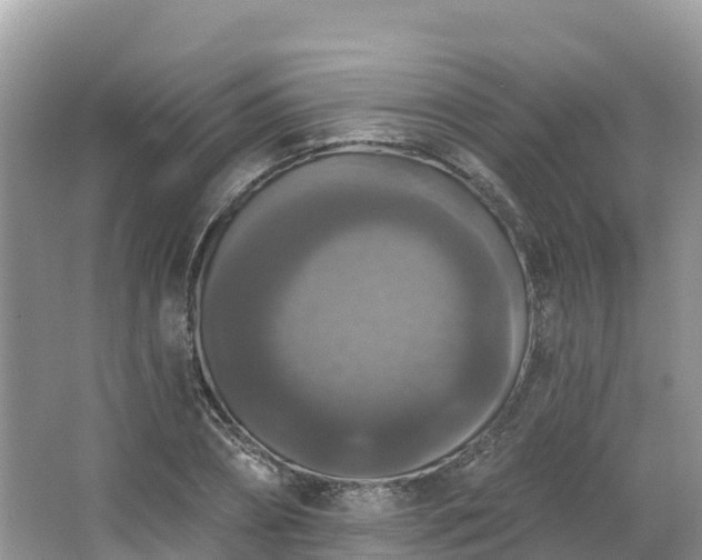 X0000066970882200603311446