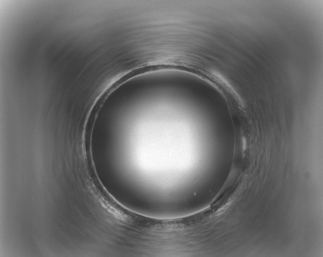 X0000066970884200603311446