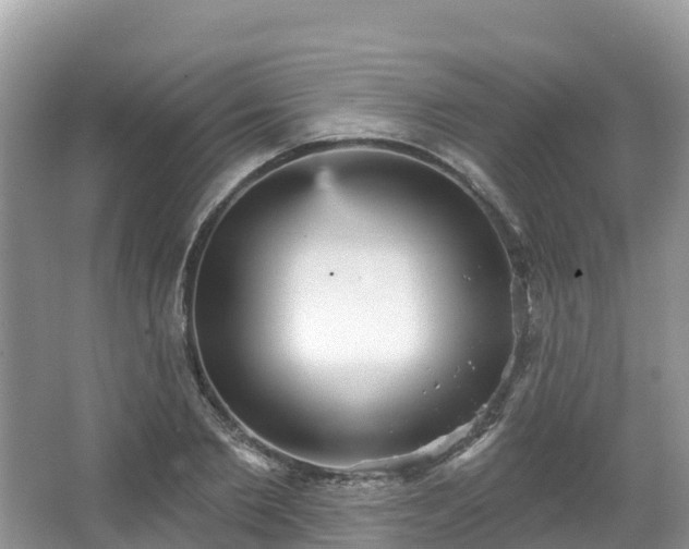 X0000066970885200603311446