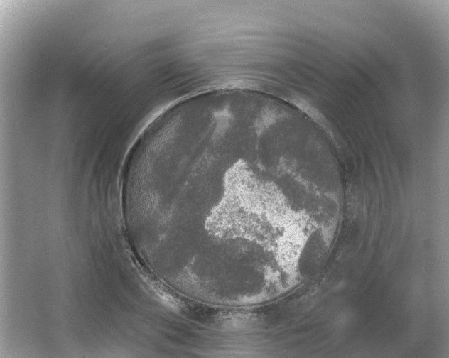 X0000066970886200603311446