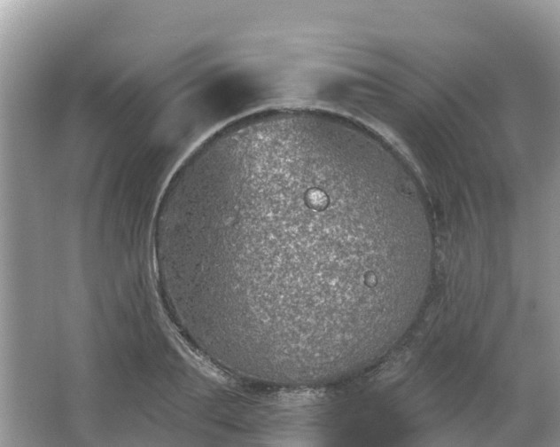 X0000066970887200603311446