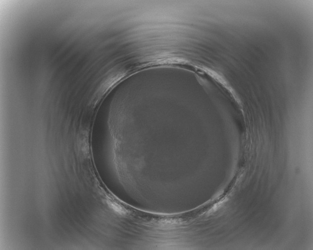 X0000066970889200603311446