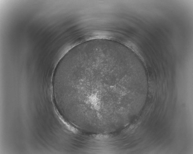 X0000066970890200603311446