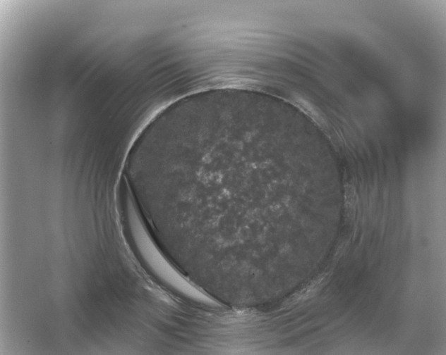 X0000066970891200603311446