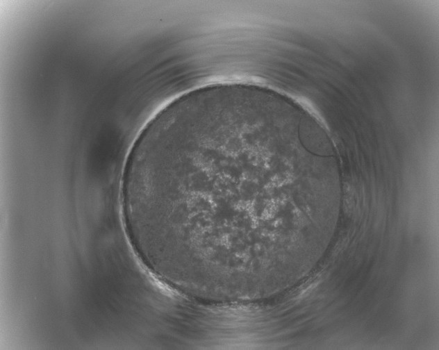 X0000066970895200603311446