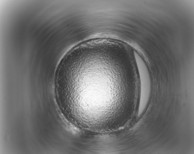 X0000066970896200603311446