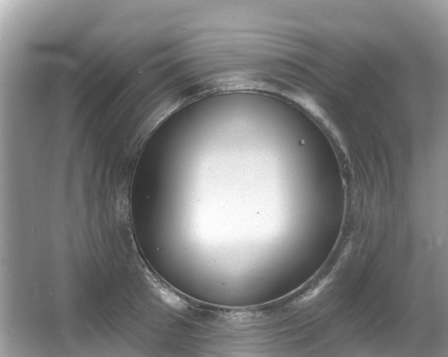 X0000066970897200603311446