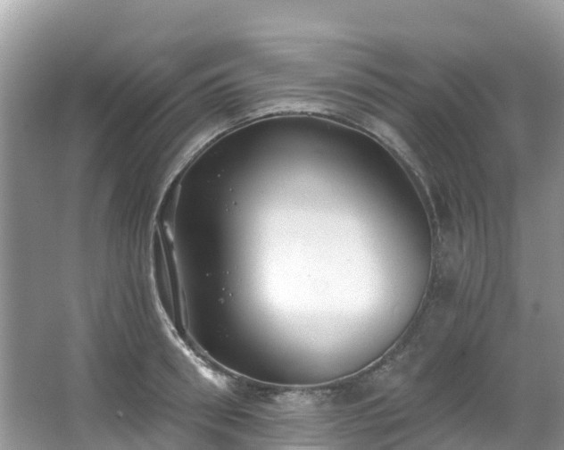 X0000066970898200603311446