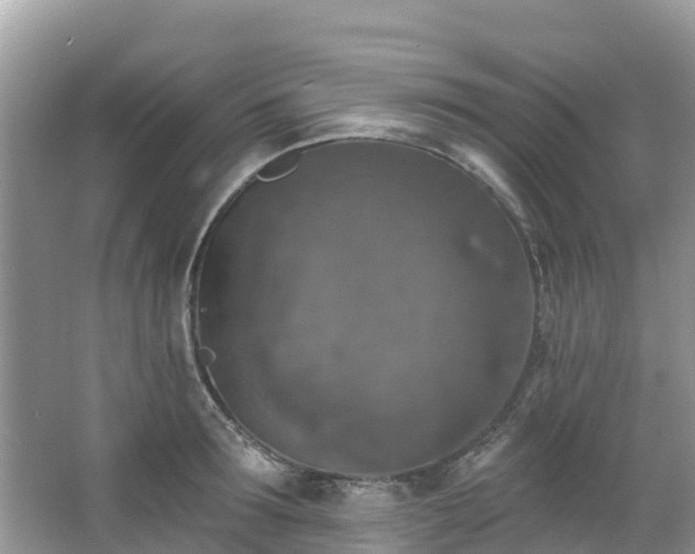 X0000066970899200603311446