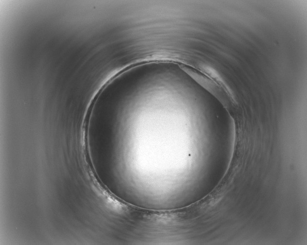 X0000066970900200603311446