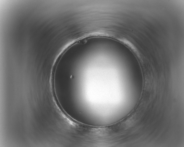 X0000066970902200603311446