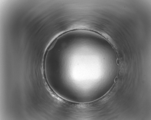 X0000066970904200603311446