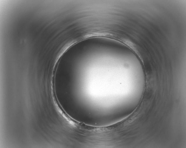 X0000066970906200603311446