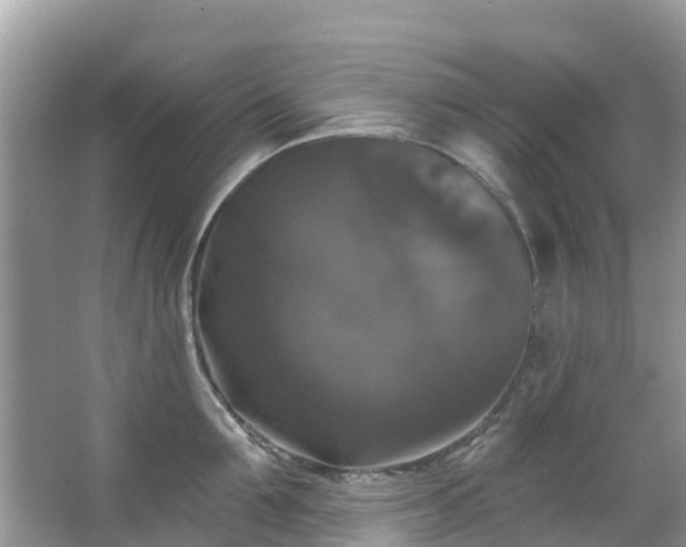 X0000066970907200603311446