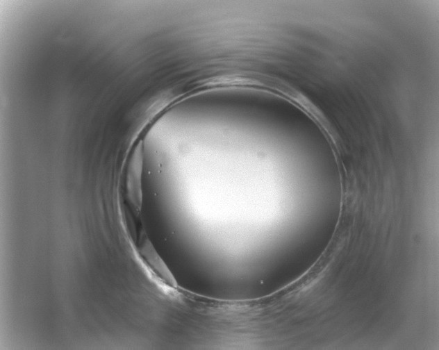 X0000066970909200603311446