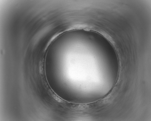 X0000066970912200603311446