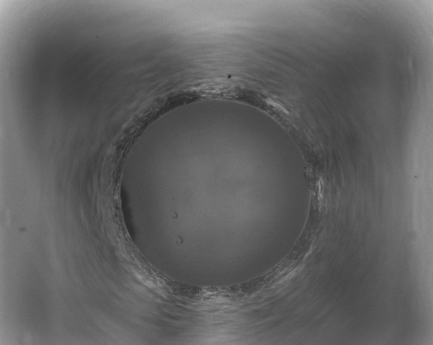 X0000066970913200603311445