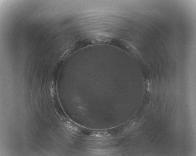 X0000066970915200603311445