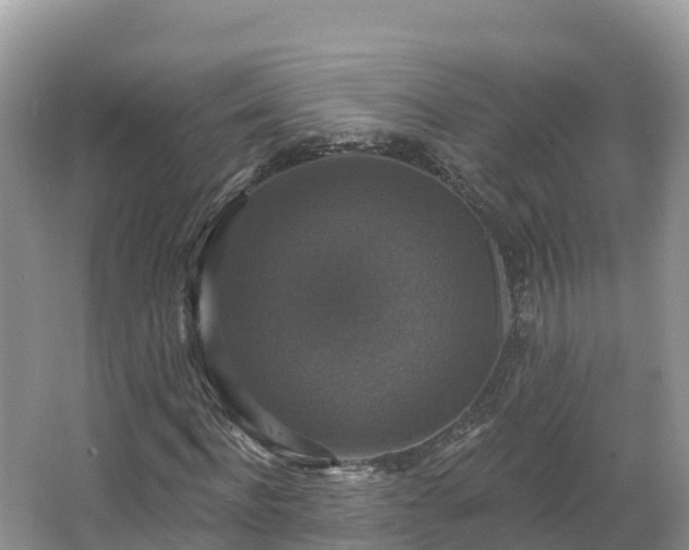 X0000066970916200603311445