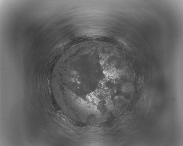 X0000066970917200603311445