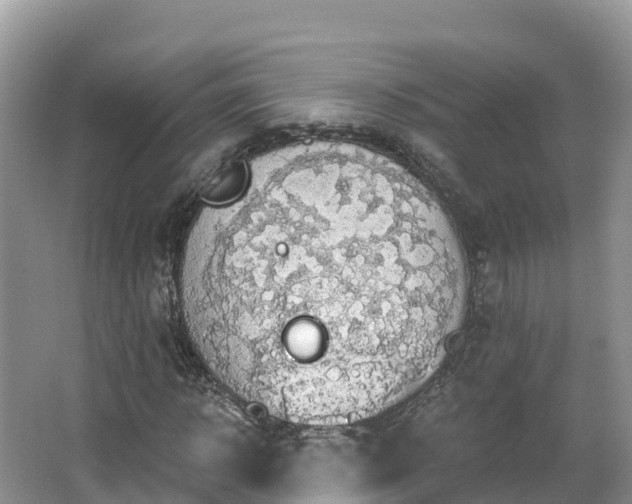 X0000066970918200603311445