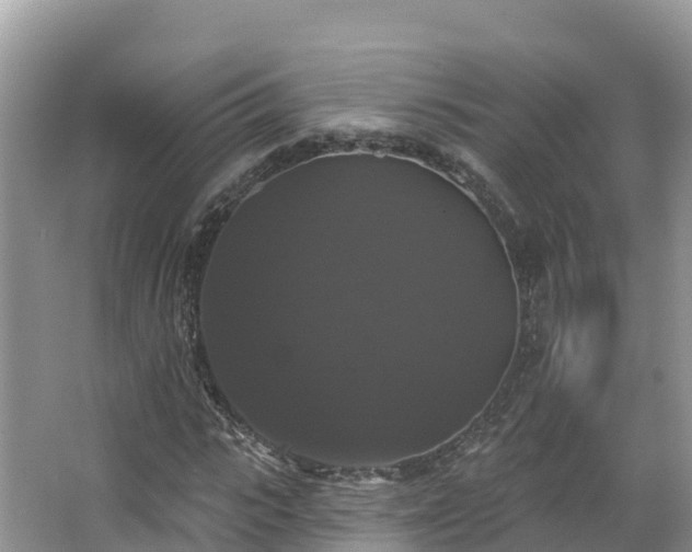 X0000066970919200603311445