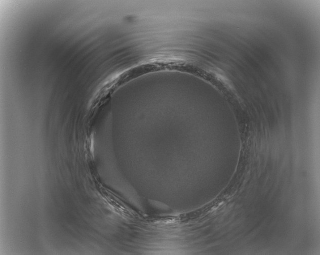 X0000066970920200603311445