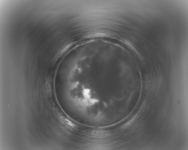 X0000066970921200603311445