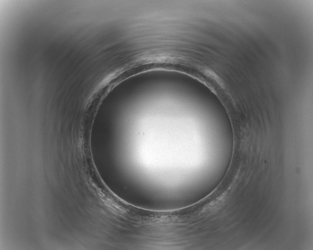 X0000066970922200603311445