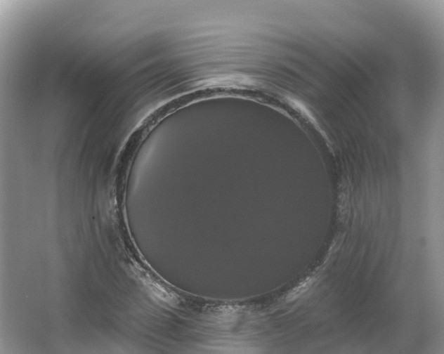 X0000066970923200603311445