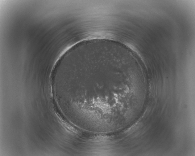 X0000066970925200603311445