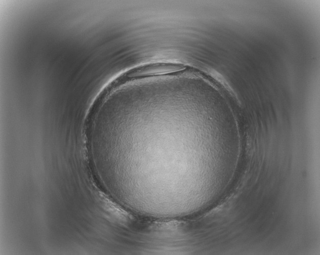 X0000066970926200603311445