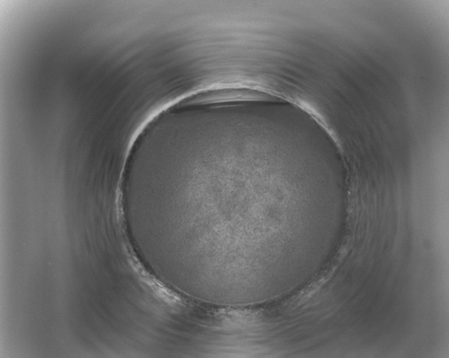 X0000066970928200603311445