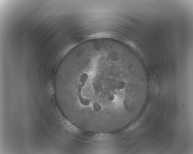 X0000066970929200603311445