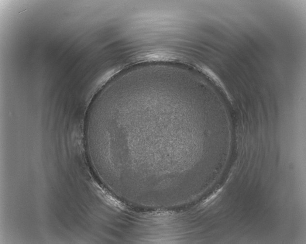 X0000066970930200603311445