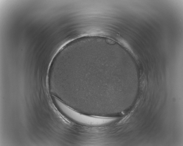 X0000066970932200603311445