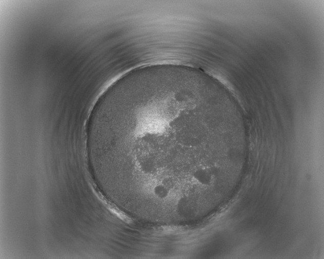 X0000066970933200603311445