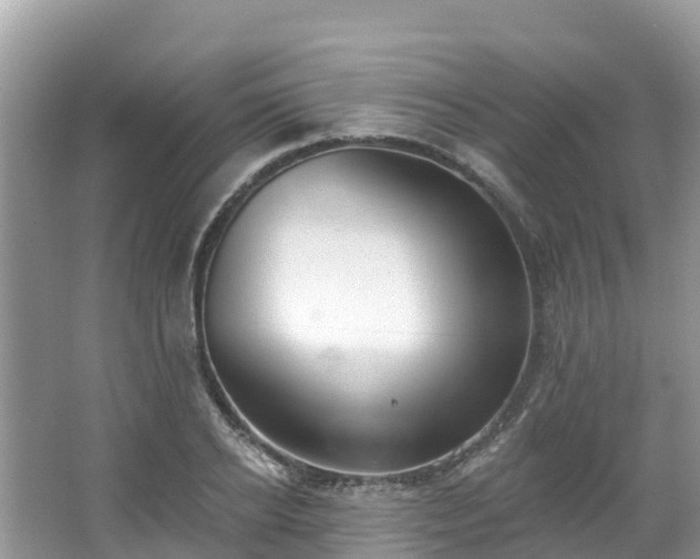 X0000066970934200603311445