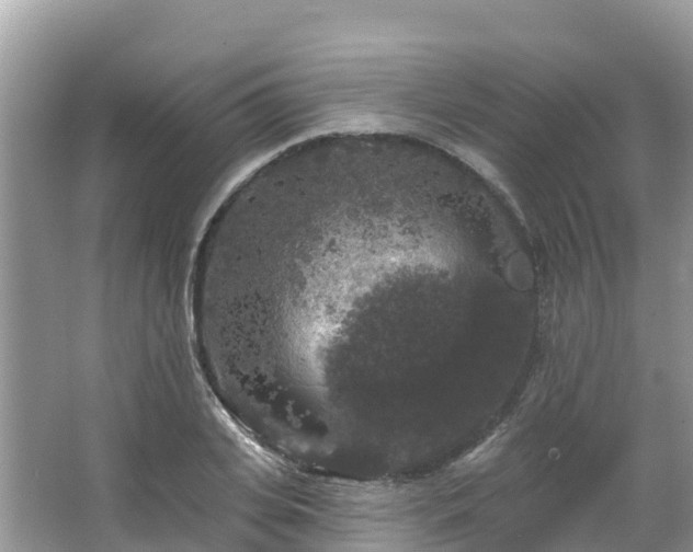 X0000066970935200603311445