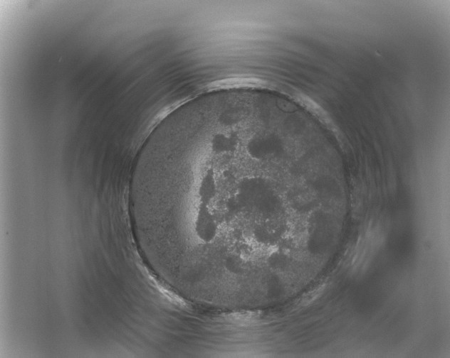 X0000066970937200603311445