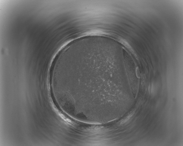 X0000066970939200603311445