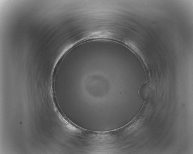 X0000066970941200603311445