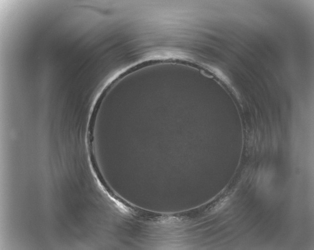 X0000066970943200603311445