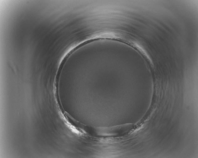 X0000066970944200603311445