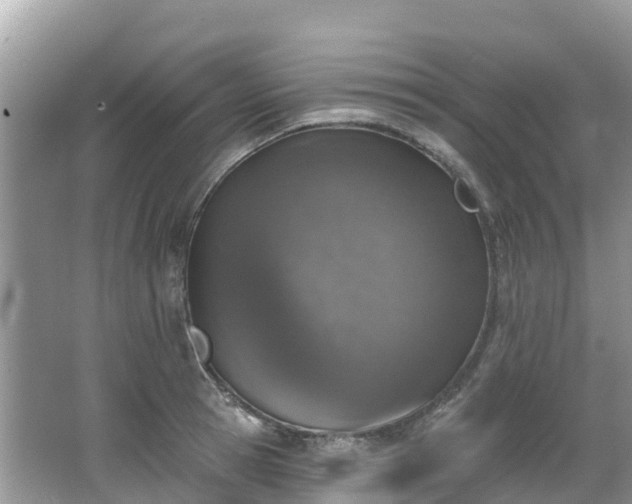 X0000066970945200603311445