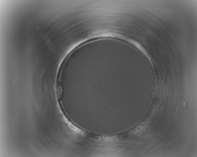 X0000066970951200603311445